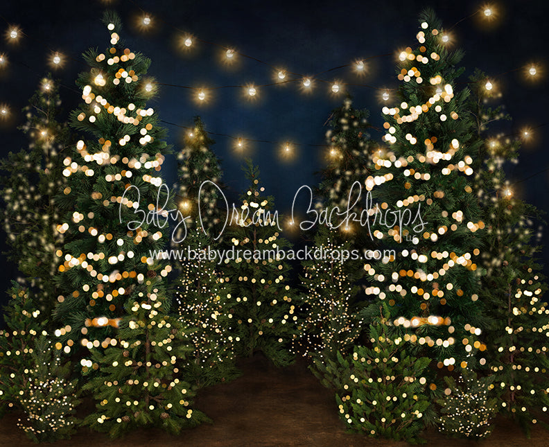 Tree Farm Eve Lights (Gritty Bottom)