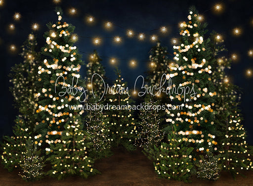 Tree Farm Eve Lights (Gritty Bottom)