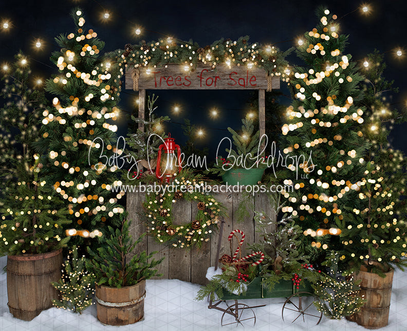 Tree Farm Eve Stand Lights