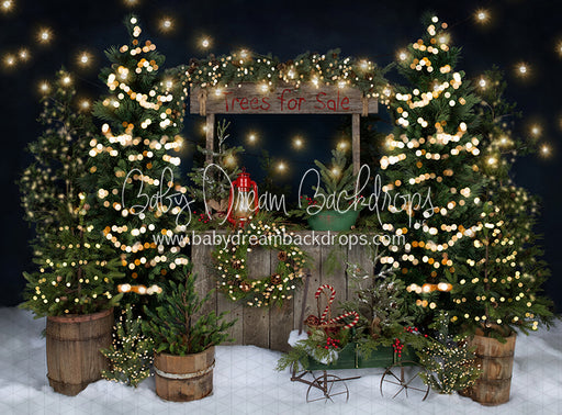 Tree Farm Eve Stand Lights