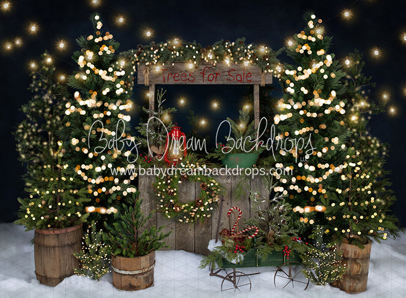 Tree Farm Eve Stand Lights