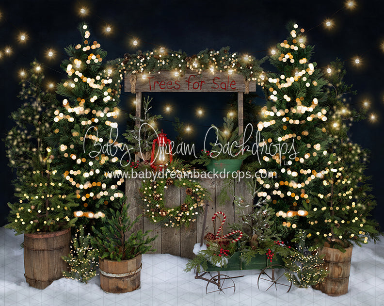 Tree Farm Eve Stand Lights