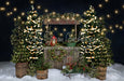 Tree Farm Eve Stand Lights