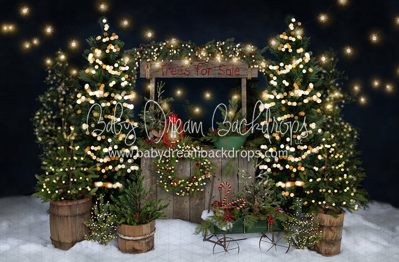 Tree Farm Eve Stand Lights