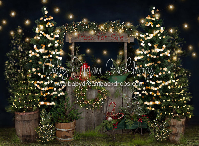 Tree Farm Eve Stand Lights (Grass)
