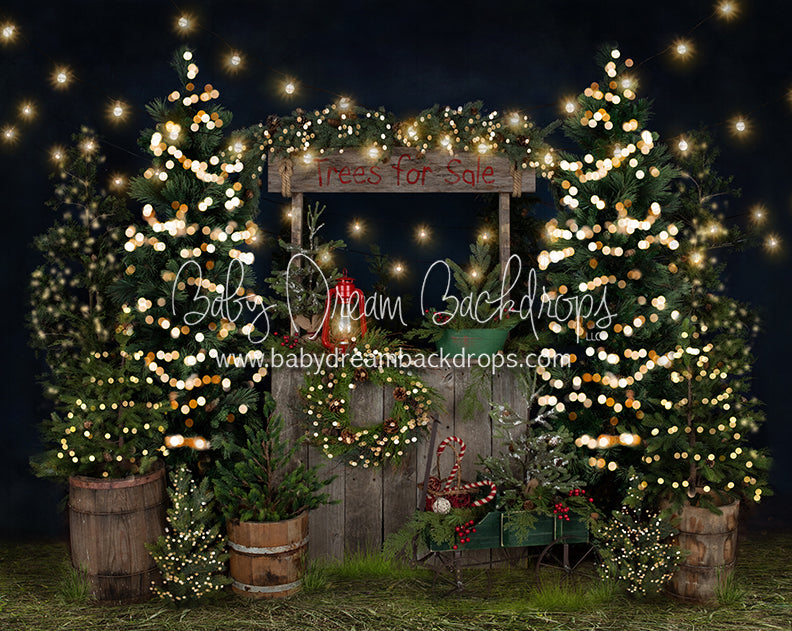 Tree Farm Eve Stand Lights (Grass)