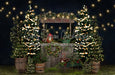 Tree Farm Eve Stand Lights (Grass)