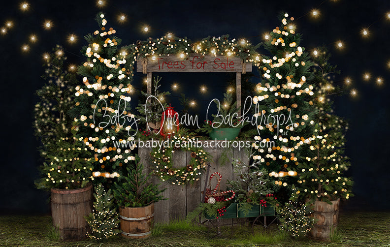Tree Farm Eve Stand Lights (Grass)