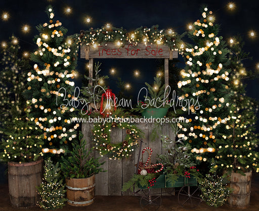 Tree Farm Eve Stand Lights (Gritty Bottom)