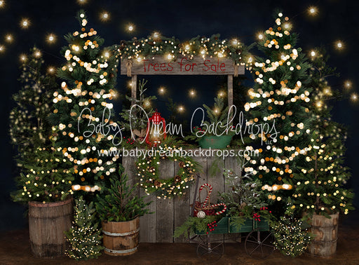 Tree Farm Eve Stand Lights (Gritty Bottom)