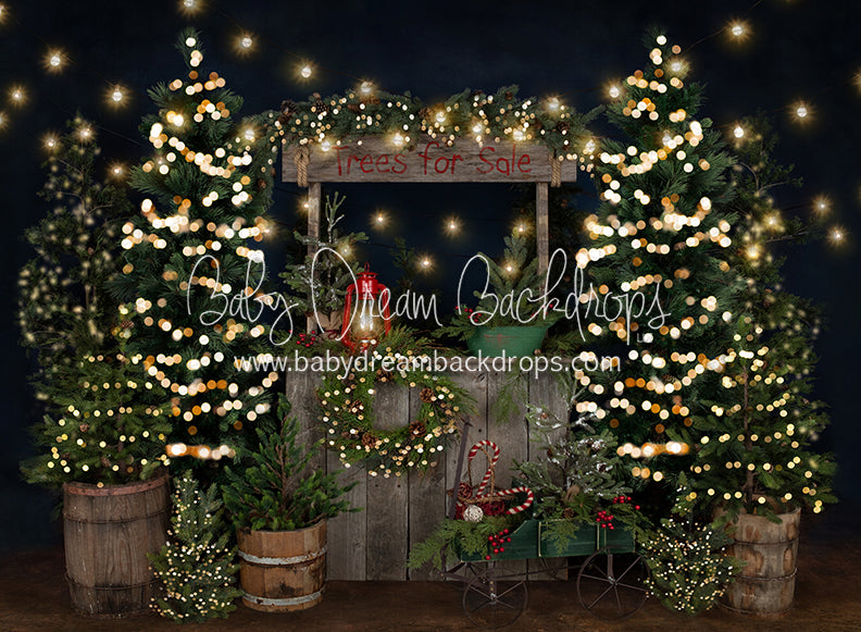 Tree Farm Eve Stand Lights (Gritty Bottom)