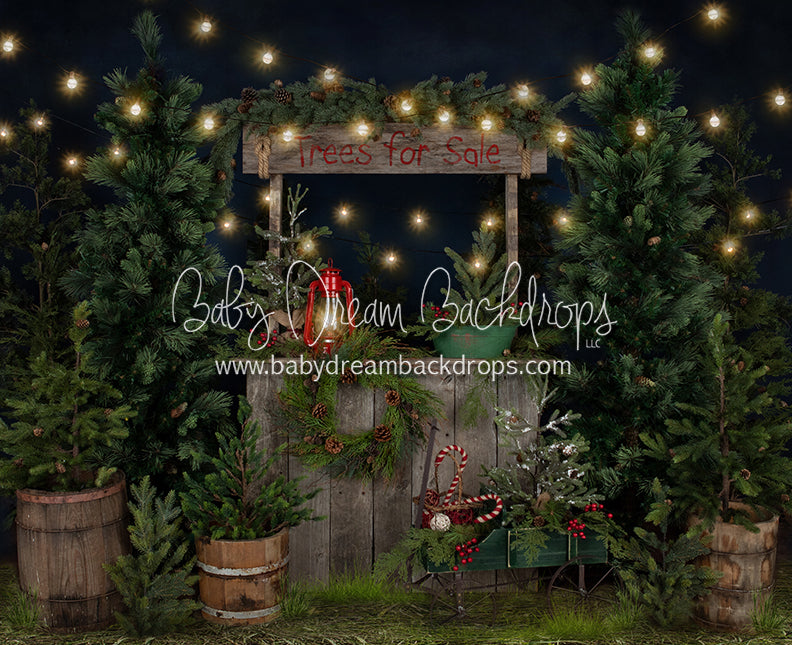 Tree Farm Eve Stand (Grass)