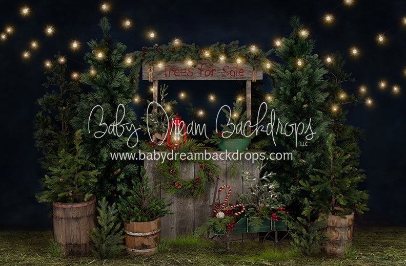 Tree Farm Eve Stand (Grass)