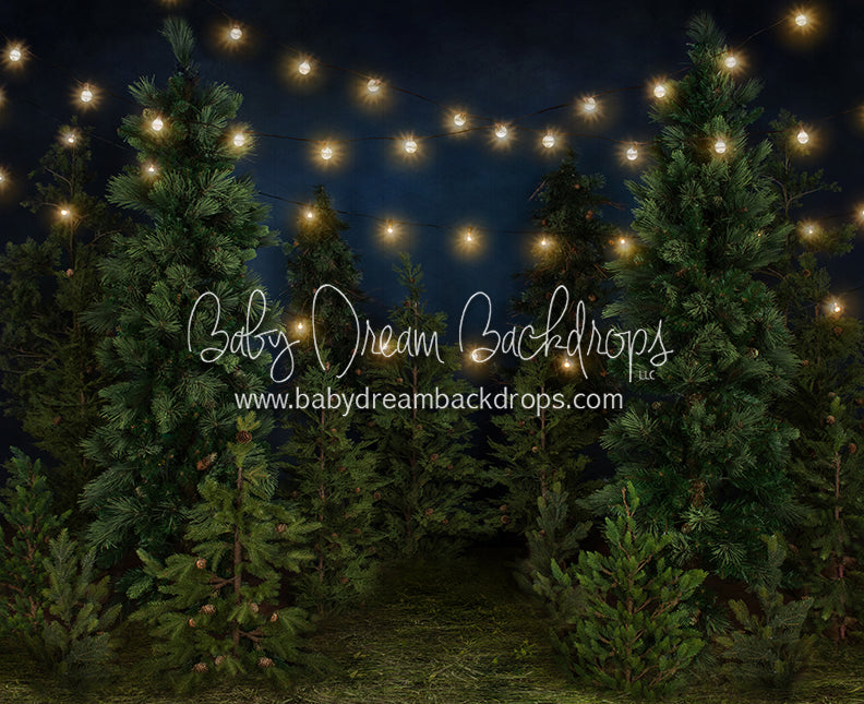 Tree Farm Eve (Grass) 