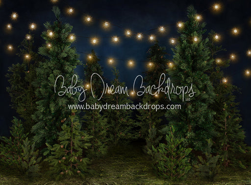 Tree Farm Eve (Grass) 