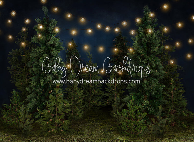 Tree Farm Eve (Grass)