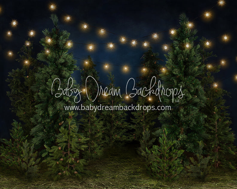 Tree Farm Eve (Grass) 