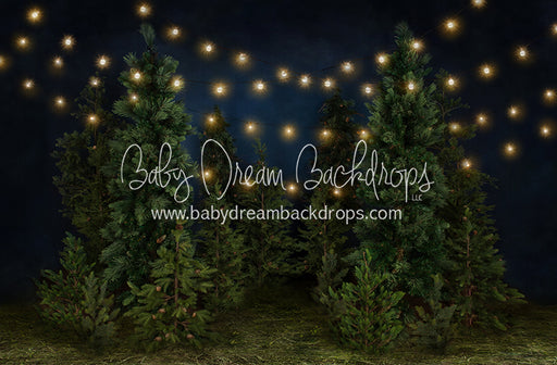 Tree Farm Eve (Grass) 