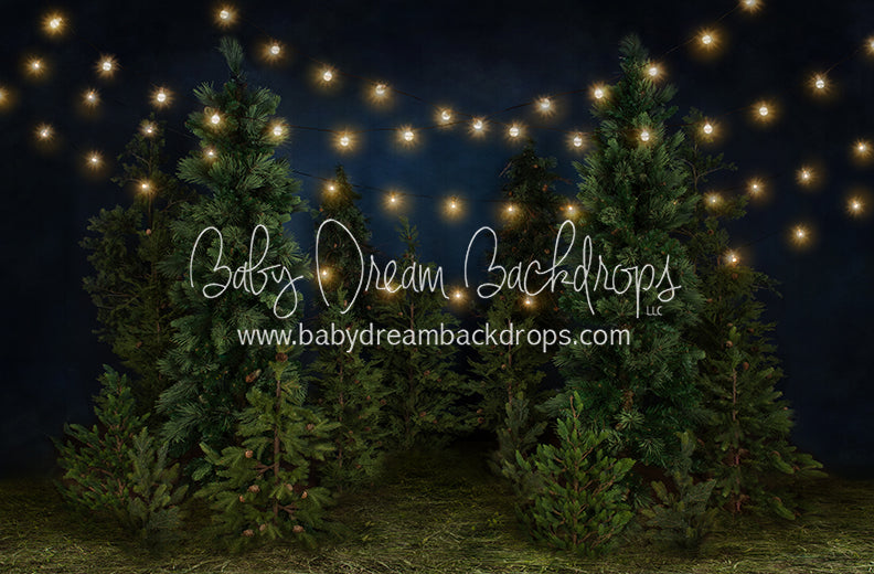 Tree Farm Eve (Grass) 