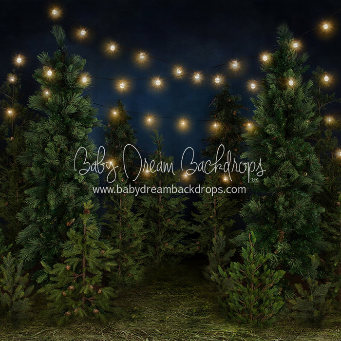 Tree Farm Eve (Grass) 