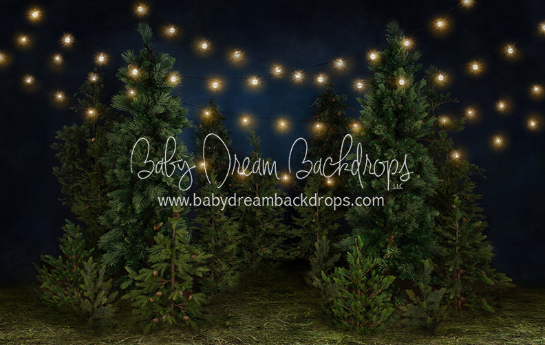 Tree Farm Eve (Grass)