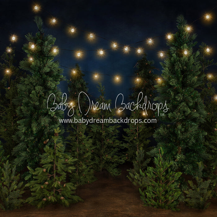 Tree Farm Eve (Gritty Bottom)