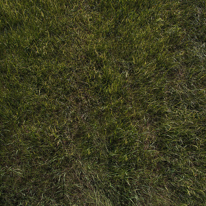 X Drop tree farm with lights floor as a drop