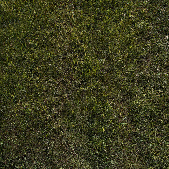 Tree Farm With Lights Floor