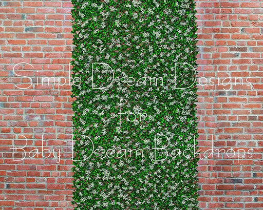 Trellis White Flowers 8x10 - SD (fleece)