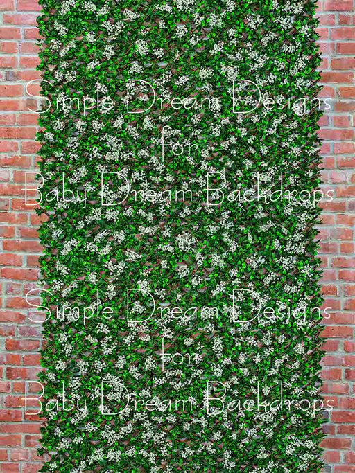 Trellis White Flowers 8x6 - SD (fleece)