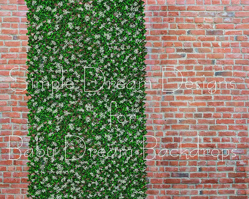 Trellis White Flowers left 8x10 - SD (fleece)