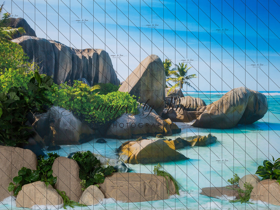 Tropical Beach Cove (JG)