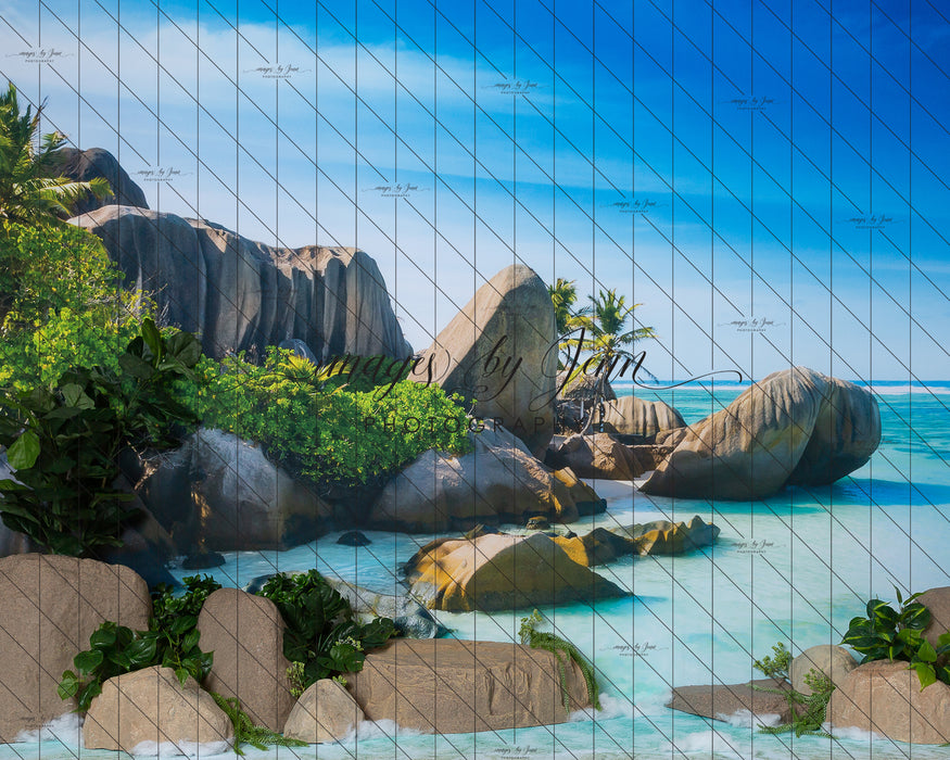 Tropical Beach Cove (JG)