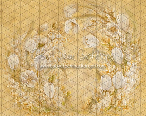 Tulip Trance Yellow (SS)
