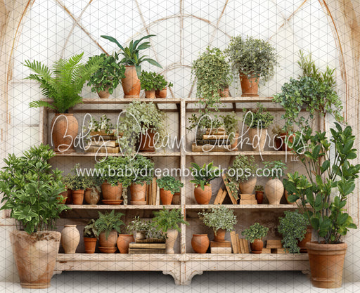 Tuscan Botanical Bookcase (JA)