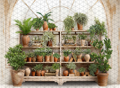 Tuscan Botanical Bookcase (JA)