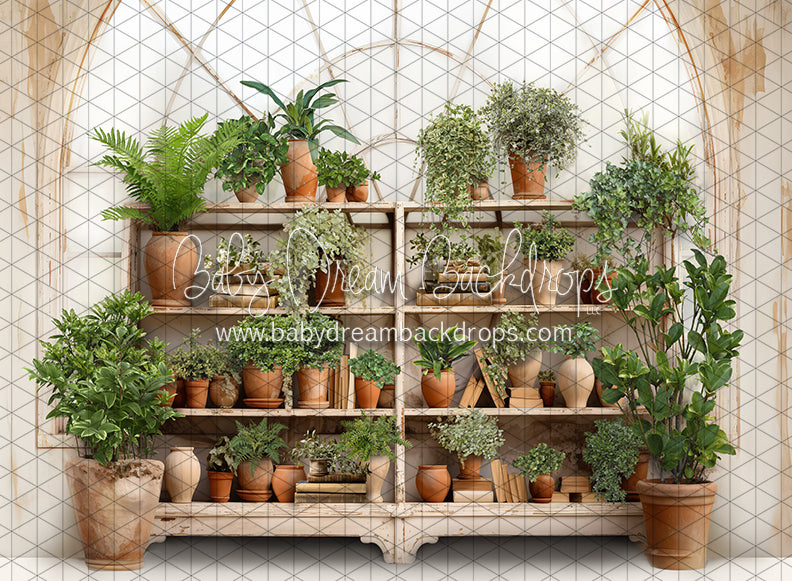 Tuscan Botanical Bookcase (JA)