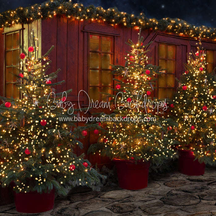 X Drop twinkle tree alley