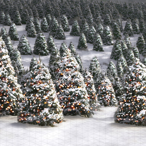 Twinkle in the Trees Morning