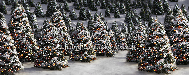 Premium Twinkle in the Trees - 8x20 - CC