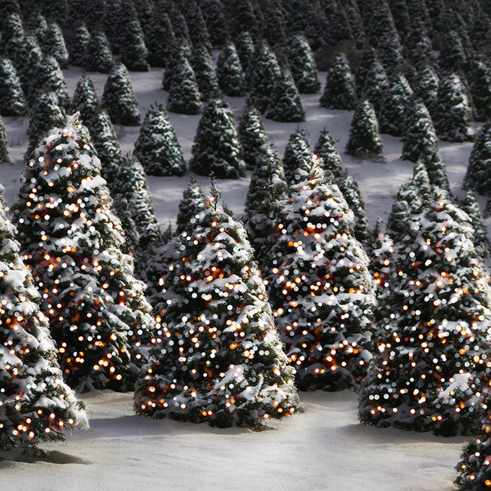 X Drop twinkle in the trees