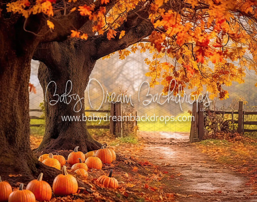 Under The Autumn Tree (BD)