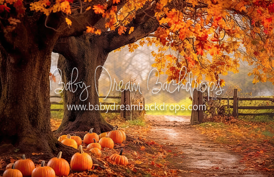 Under The Autumn Tree (BD)