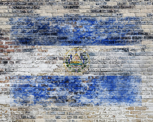 Urban Flag El Savador