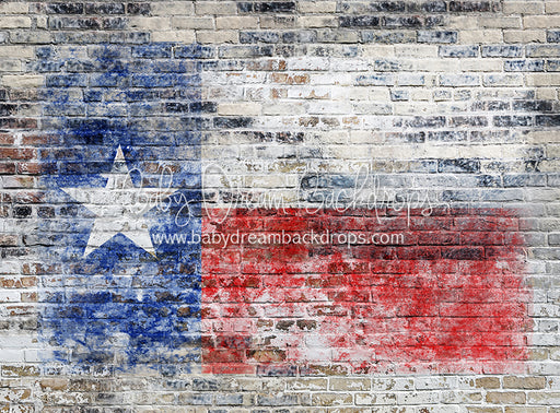 Urban Flag Texas