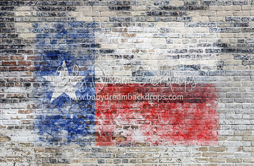 Urban Flag Texas