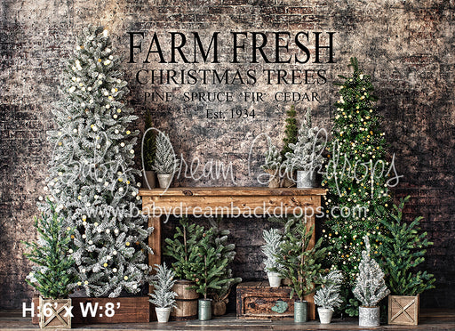 Urban Pine Market 1934