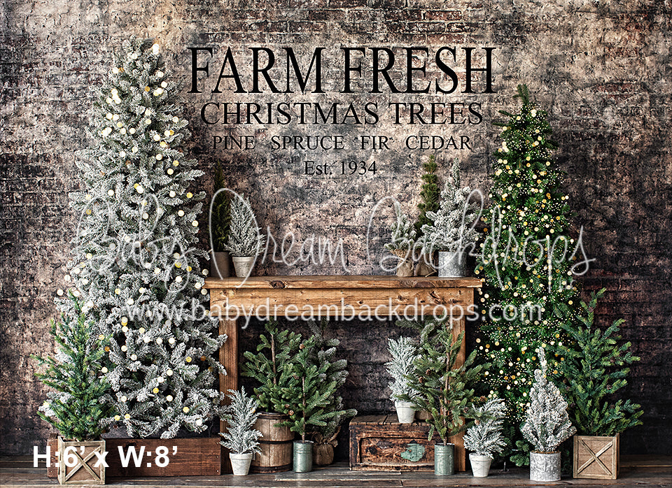 Urban Pine Market 1934