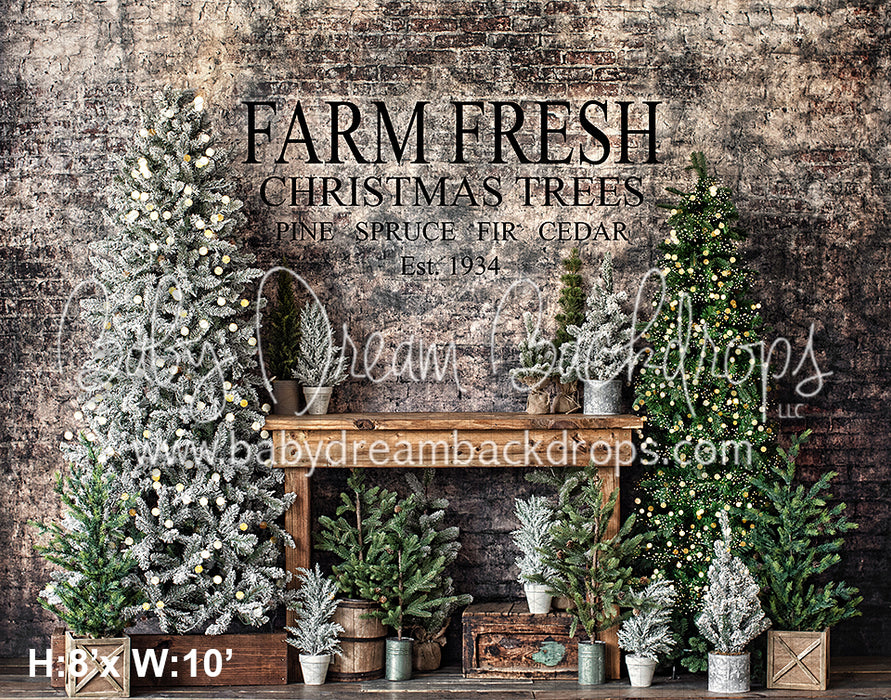 Urban Pine Market 1934