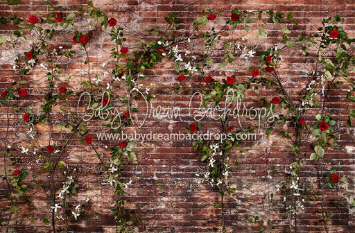 Urban Rose Wall